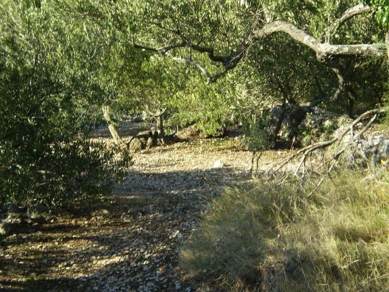 Podgora, landwirtschaftliche Fläche 1249 m2
